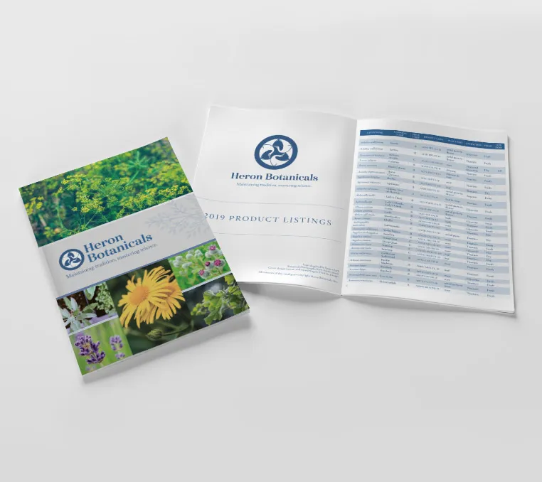 Great Blue Heron — illustration